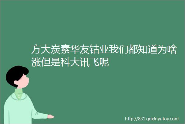 方大炭素华友钴业我们都知道为啥涨但是科大讯飞呢